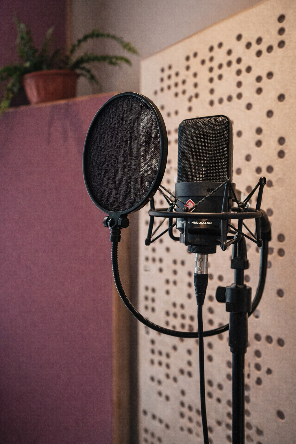 Studio microphone setup